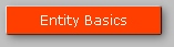 Entity Basics