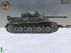 202_snow-tiger1.jpg