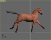 205_h1.JPG