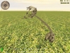348_Dbronto2.jpg