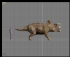 triceratops3