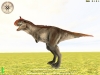 736_carno1.jpg