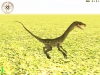 737_coelophysis1.jpg