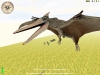 739_pterodactyl1.jpg